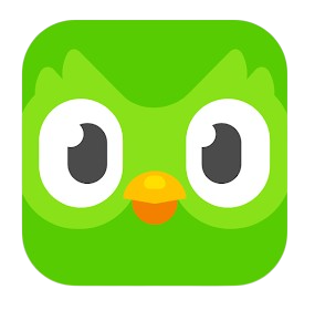 Duolingo Super add team 12 tháng